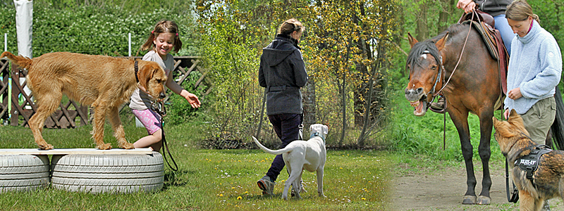 Hundezentrum Heiduk